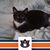 Thomasyne Eldridge's profile image