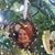 Debbie Helms-Haglund's profile image