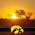 Carlene Hohl's profile image