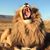 Donavan Kenney's profile image