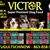 Lakeland Veterinary Supply's profile image