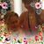 Patricia Ann Carr's profile image