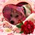 Michele Shelly Migasi Wolf's profile image