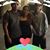 Ana Mendez's profile image