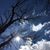 Suzanne Winkelman's profile image