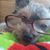 Ken Yarboro's profile image