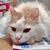 Rosemary Habarka's profile image
