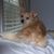 Shawn Phillips's profile image
