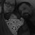 Paulina Puzio's profile image