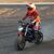 David Mortara's profile image