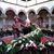 David Sanchez M's profile image