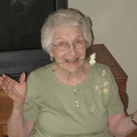 Melissa Olsen's profile image