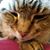 Karen Fitch's profile image