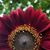 Renee Haberle Pregler's profile image