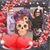 Juanita Carrillo James's profile image