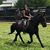 Lisa Savoie Gelpi's profile image