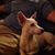 Bill Kolstad's profile image