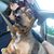 Brandi Sullivan's profile image