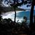 Roxanna Raya's profile image