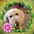 Linda Williams's profile image
