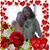 Walter Oviedo's profile image