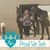 Francine Deboulle Long's profile image