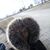 Marcus Bell's profile image