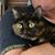 Nora Ashley's profile image