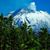Marselina Gaspar's profile image