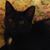 Theresa McCombs's profile image