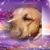 Dan Richard's profile image