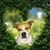 Jessie Mcfadden's profile image