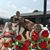 Tammy Morse's profile image