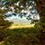 Susie Sittner's profile image