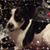 Suzy Staples's profile image