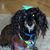 Sue Spahn's profile image
