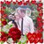 Sher Hanson-Lampinen's profile image