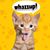 Sharon Hall's profile image
