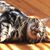 Cindy Burks's profile image