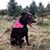 Karin Taylor's profile image