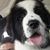 Jorge Anthony Companioni's profile image