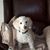 Eileen Kennelly's profile image