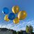 Sharon Schierlman-Reusser's profile image
