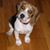 Susan Flynn's profile image