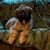 Tammy Reske's profile image