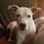 Diane Kivi's profile image