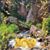 Loretta Raker's profile image