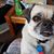 Lynne Heinekamp's profile image