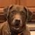 Ronnie Scholl's profile image