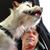 Stephen Christopher's profile image